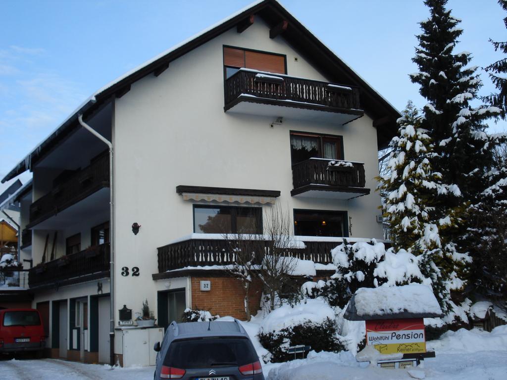 Claudias Wohlfuhlpension Willingen  Exterior foto